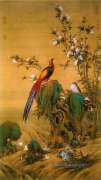 Lang leuchtende Vögelen im Frühling Chinesische Malerei Ölgemälde